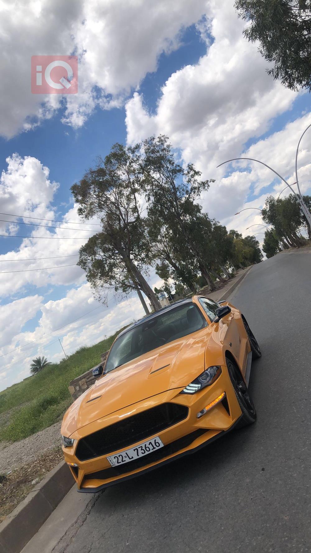Ford Mustang